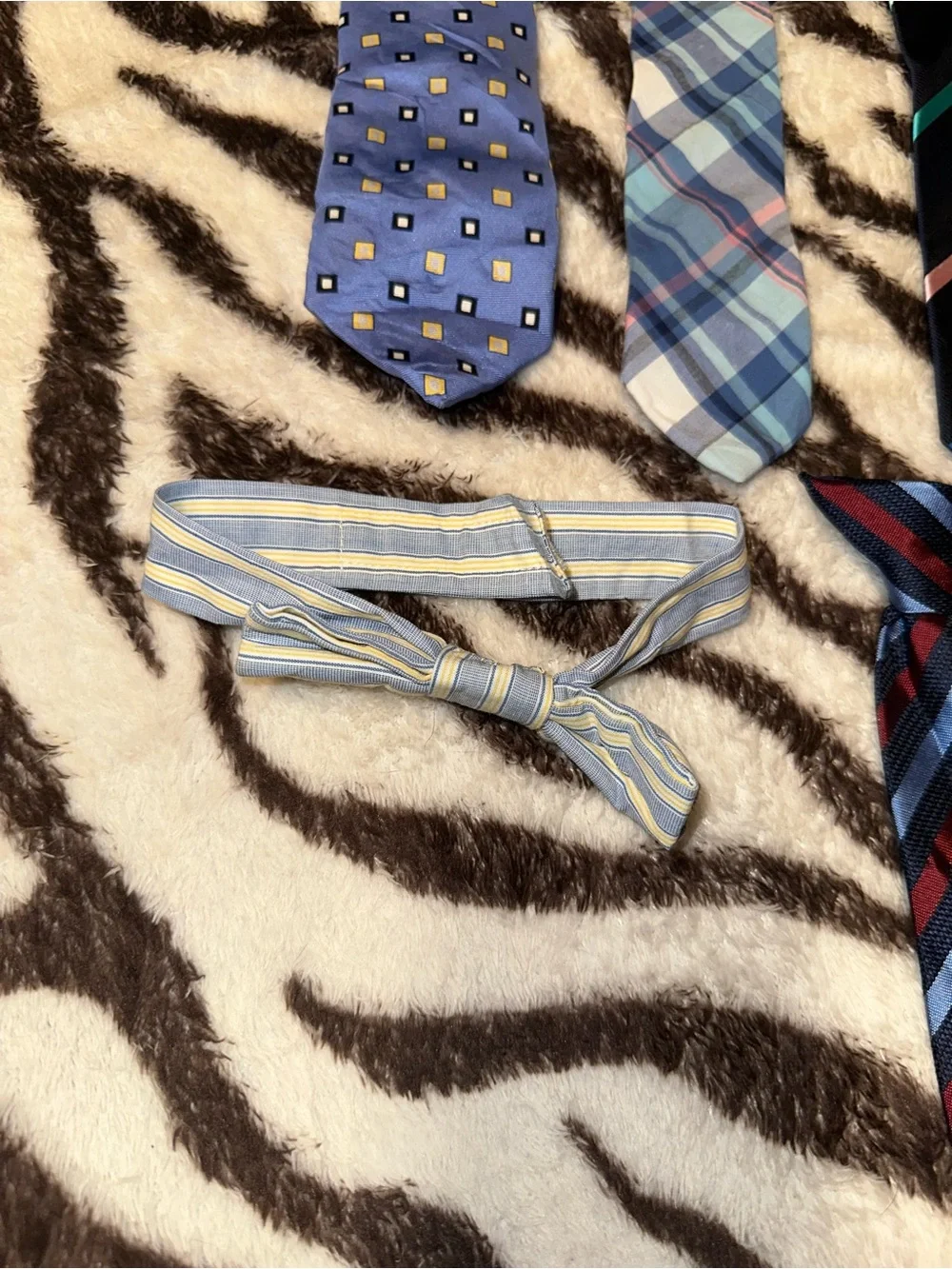 Little Boys Assorted Blue and Red Neck Ties
